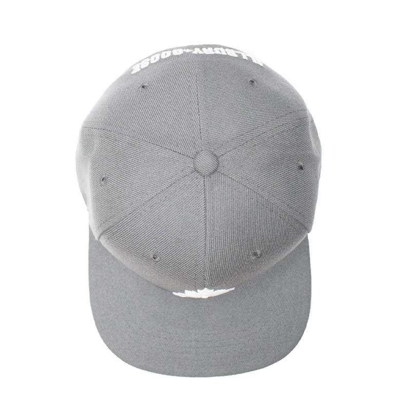 anchor leaf ball hat snapback grey light flat brim